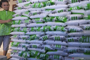 Musim tanam kedua, Pupuk Indonesia percepat distribusi ke gudang-kios
