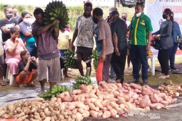 Pangan lokal Papua di tengah pandemi COVID-19