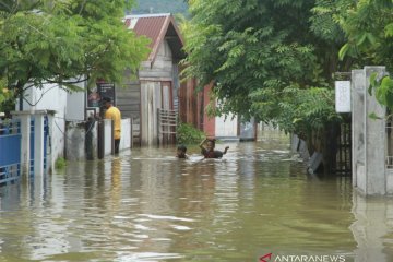 BPBA: 10 daerah di Aceh dilanda banjir besar sepekan ini