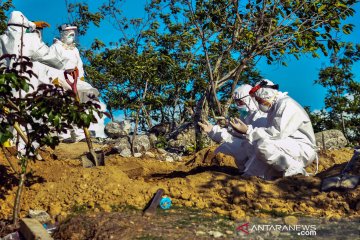 COVID-19 Sulteng: Tambahan satu positif dan satu sembuh