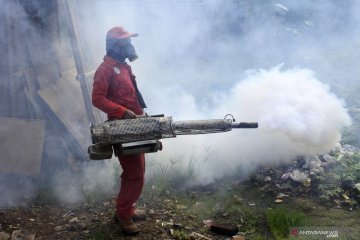 Banten siaga hadapi peningkatan kasus DBD