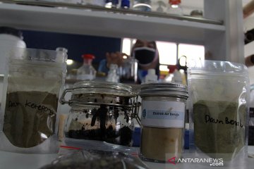 Fitofarmaka, pilihan mandiri obat dengan kembali ke alam (2)