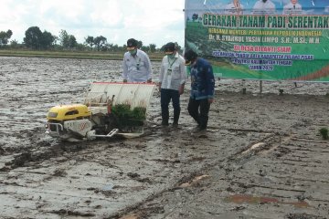 Kementan dorong Kalteng jadi lumbung pangan Indonesia