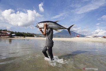 Prestasi dunia kelompok nelayan tuna Pulau Buru raih ekolabel MSC