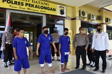 Polres Pekalongan membekuk tiga tersangka pencurian sapi