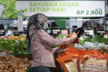 Ekonom: Konsumsi rumah tangga jadi penopang ekonomi di kuartal I-2023