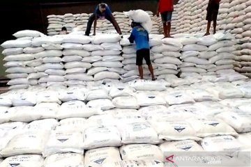 Bulog sebut impor gula 21.800 ton dari India cukupi kebutuhan Lebaran