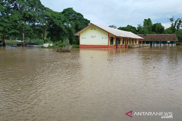Banjir di Oku Selatan, sawah seluas 3,5 hektare terancam gagal panen