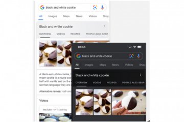 Apllikasi penelusuran Google dapatkan mode gelap