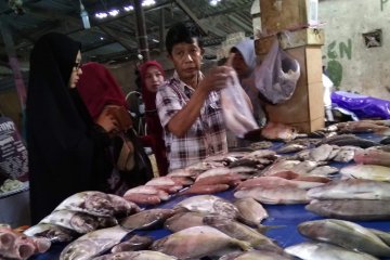 Harga ikan di pelelangan Makassar cenderung turun di tengah pandemi