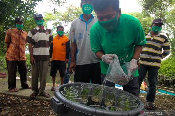 Pelatihan budidaya ikan dalam ember untuk nelayan