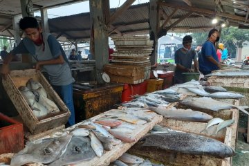 Sepi pembeli, nelayan di Serang bingung mau jual ikan kemana lagi