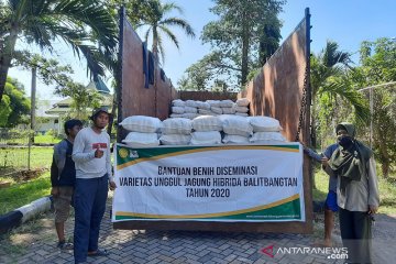 Balitbangtan salurkan benih jagung toleran kekeringan ke NTT