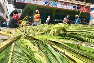 Selongsong ketupat sepi pembeli