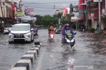 Aktivis minta Pemerintah Aceh serius pulihkan fungsi hutan