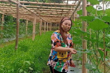 Sentrum Agraris Lotta Bantu Pengembangan Komoditas Pangan