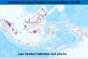 Balitbangtan lakukan pemutakhiran peta lahan gambut