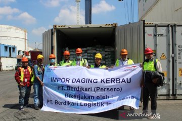 Impor daging kerbau Berdikari mulai masuk bertahap hingga akhir Juni