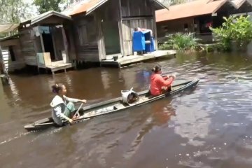 Banjir masih landa 9 kecamatan di Kotawaringin Timur
