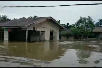 Banjir Siberut Mentawai, 12 desa terendam banjir