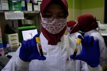 PMI Kota Tangerang siap layani donor plasma darah dari pasien sembuh COVID-19