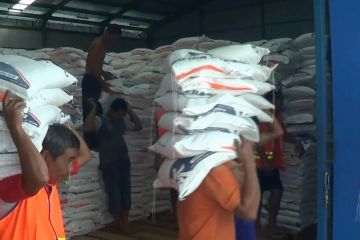 Stok beras hingga akhir tahun diprediksi 4,7 juta ton