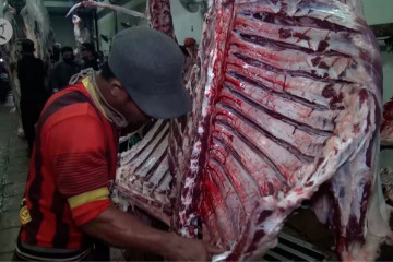 Pengawasan diperketat antisipasi daging sapi tak layak konsumsi