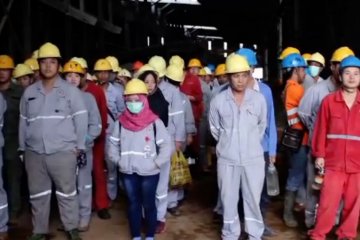 Gubernur Sultra sepakat tunda kedatangan 500 TKA China