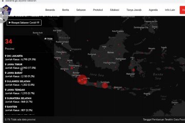 Jokowi minta Menkes dan Gugus Tugas Pusat kendalikan Jatim