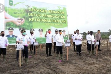 Pengendalian bahan pangan untuk tekan inflasi