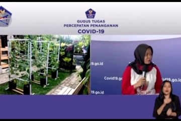 Tips dan trik berkebun di kala pandemi COVID-19