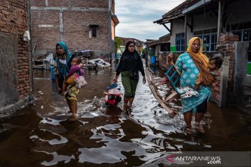 BMKG: Waspadai banjir pesisir dampak ombak tinggi dan pasang maksimum