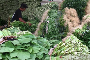 Peluang ekspor produk sayuran Indonesia