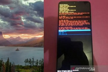 Penyebab gambar danau buat ponsel Android "hang" diduga soal kode