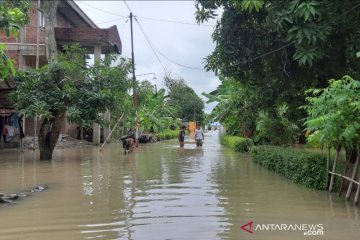 BNPB: Air laut pasang rendam 187 rumah warga di Tegal