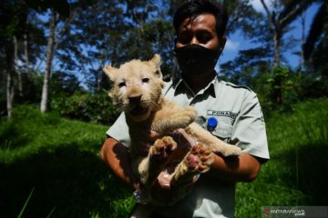 Cuaca cerah dan hujan ringan mewarnai tempat wisata di Jabodetabek