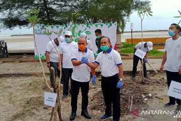 Kota Pangkalpinang dan PLN lakukan  penghijauan Pantai Pasirpadi