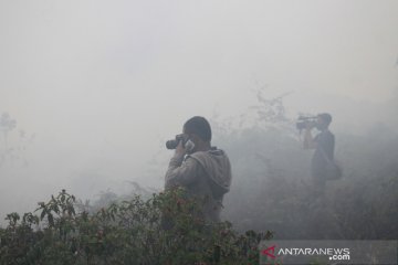 Kebakaran lahan gambut di Aceh Barat