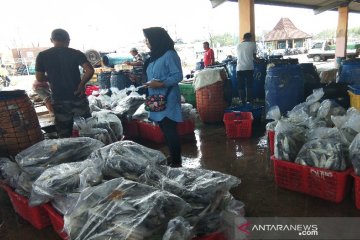 Ada rob, pelelangan ikan di TPI Pekalongan dipercepat