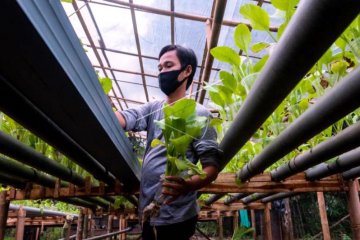 Green House Bambu Solusi Kebutuhan Perlengkapan Sistem Tanam Hidroponik Facebook