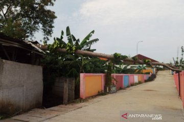 Damkar evakuasi pohon tumbang tutup jalan menuju RPTRA Cilangkap