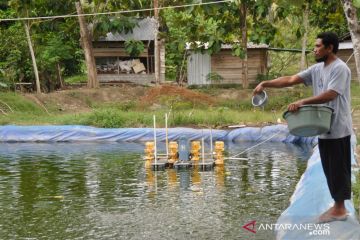 BWI sebut permasalahan sosial dapat diatasi jika wakaf dimaksimalkan