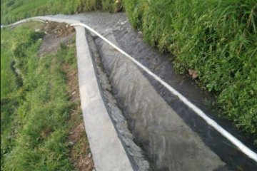 Areal sawah program Rehabilitasi Jaringan Irigasi Tersier (RJIT)