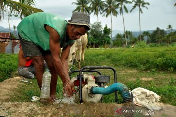 Petani Sigi mulai nikmati manfaat sumur pertanian bantuan ACT