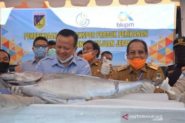 Sulteng ekspor perdana tuna sirip kuning ke Jepang