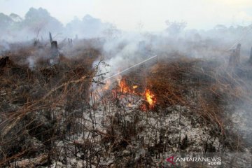 Lahan gambut 2,1 hektare di Aceh Barat terbakar