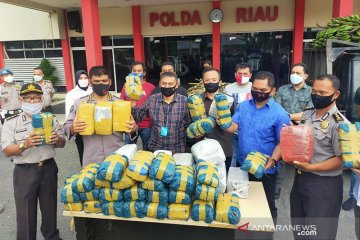 Polda Riau sita 100 kg ganja asal Aceh