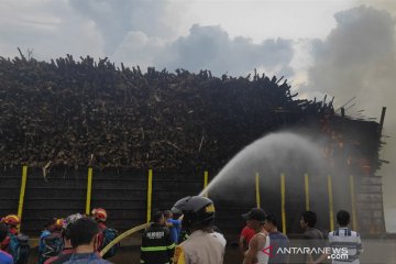 Kapal tongkang muat kayu akasia terbakar di Siak berasal dari Kaltim