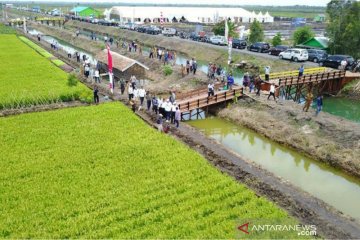 Balitbangtan siap optimalisasi budidaya padi lahan rawa