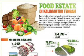 Food Estate di Kalimantan Tengah